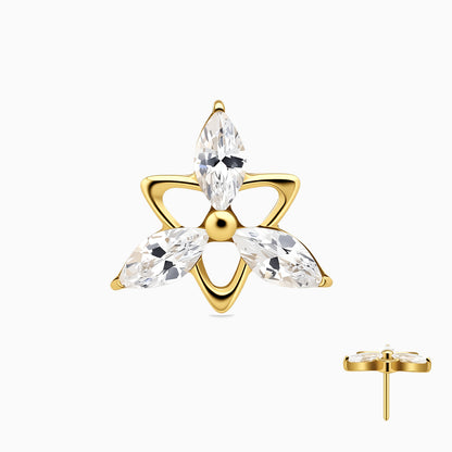 18Kt Gold PVD Titanium Threadless Marquise Cluster Top