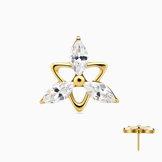 18Kt Gold PVD Titanium Threadless Marquise Cluster Top