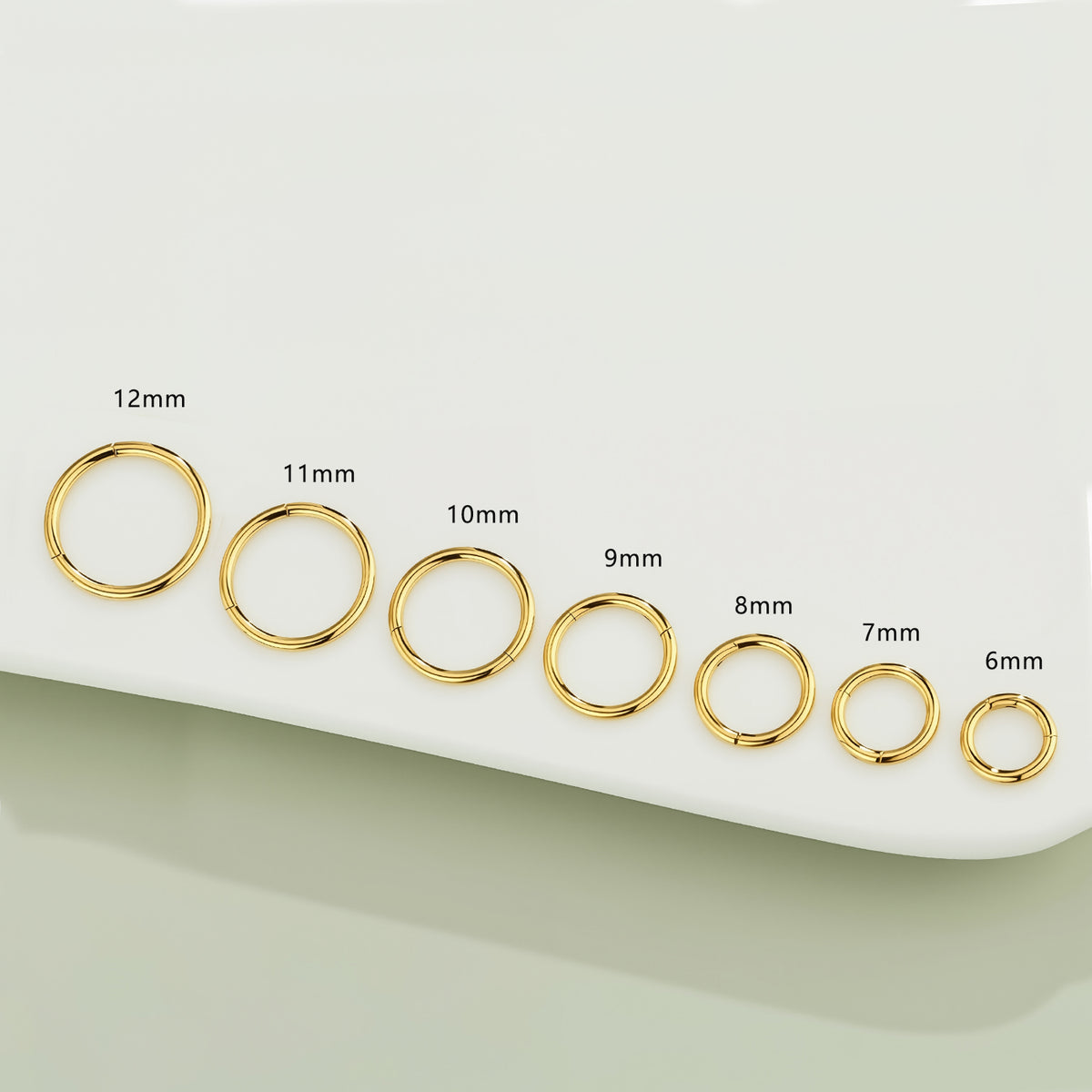 18Kt Gold PVD Titanium Hinged Hoop Ring.