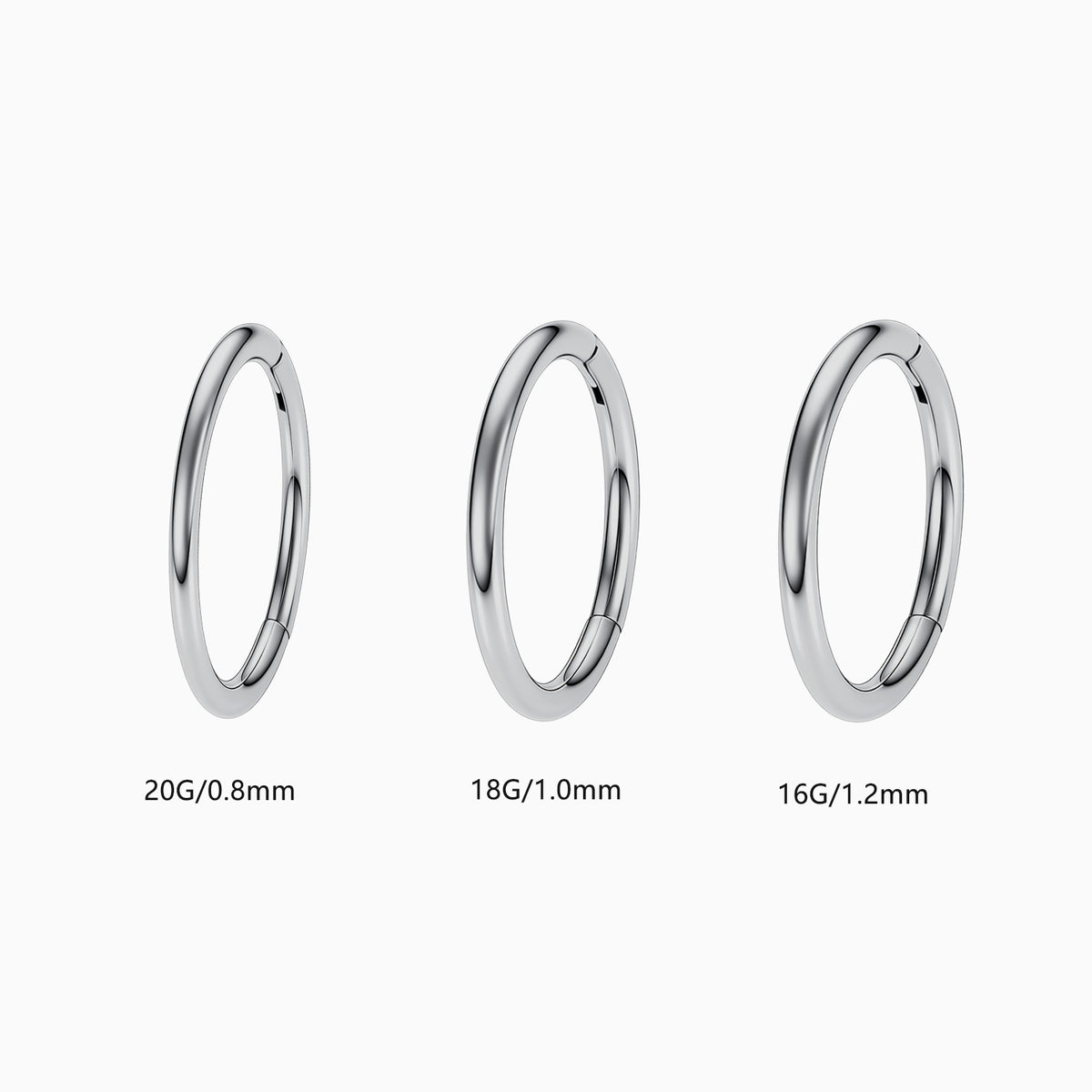 Titanium Hinged Hoop Ring.