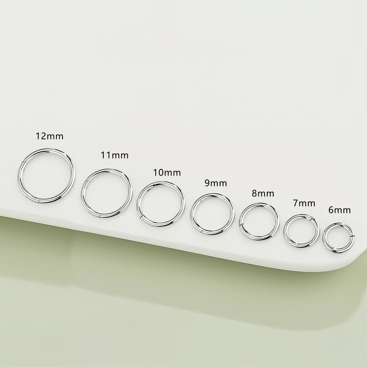 Titanium Hinged Hoop Ring.