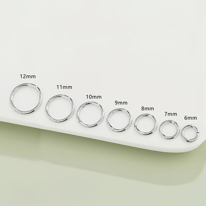 Titanium Hinged Hoop Ring.