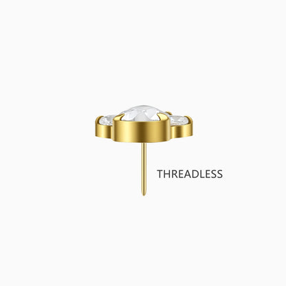 18Kt Gold PVD Titanium Threadless Paw Print Top