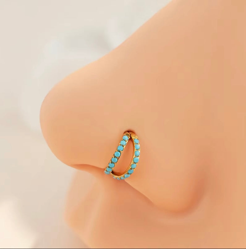 20G Double Row Hinged Segment Ring, ASTM F136 Implant Grade Titanium Nose & Conch Hoop, Hypoallergenic Piercing Jewelry